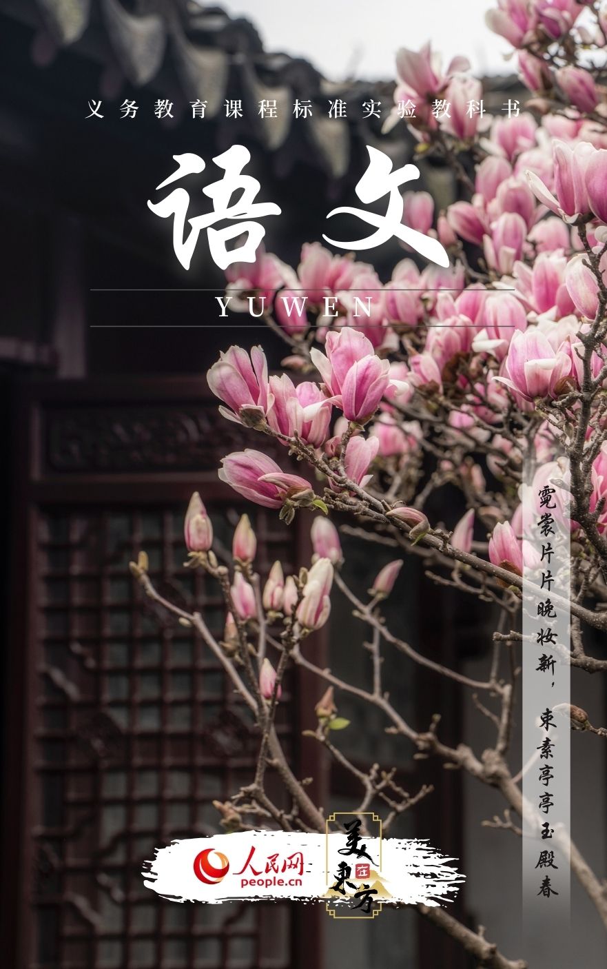 江苏苏州网师园玉兰一树繁花迎春来。